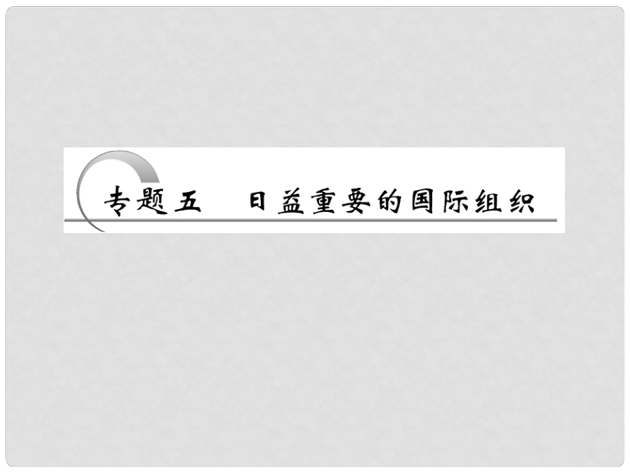 江苏省高三政治 专题五 日益重要的国际组织复习课件 选修3_第1页