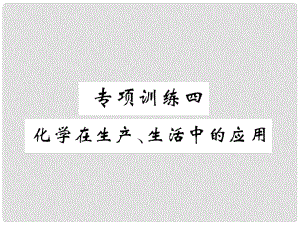 中考化學(xué)畢業(yè)總復(fù)習(xí) 第2編 重點(diǎn)專題突破篇 專項(xiàng)訓(xùn)練4 化學(xué)在生產(chǎn)、生活中的應(yīng)用課件