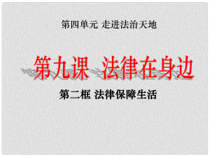 廣東省汕頭市七年級道德與法治下冊 第四單元 走進(jìn)法治天地 第九課 法律在我們身邊 第2框 法律保障生活課件 新人教版