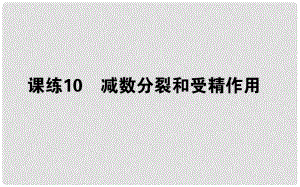 高考生物 全程刷題訓(xùn)練計劃 課練10 課件