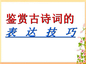 湖南省新田一中高考語(yǔ)文復(fù)習(xí) 鑒賞古詩(shī)詞表達(dá)技巧課件