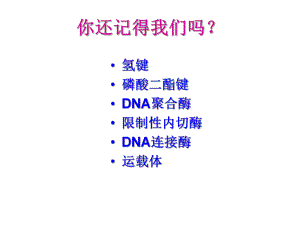 《DNA重组技术的基本工具》课件3
