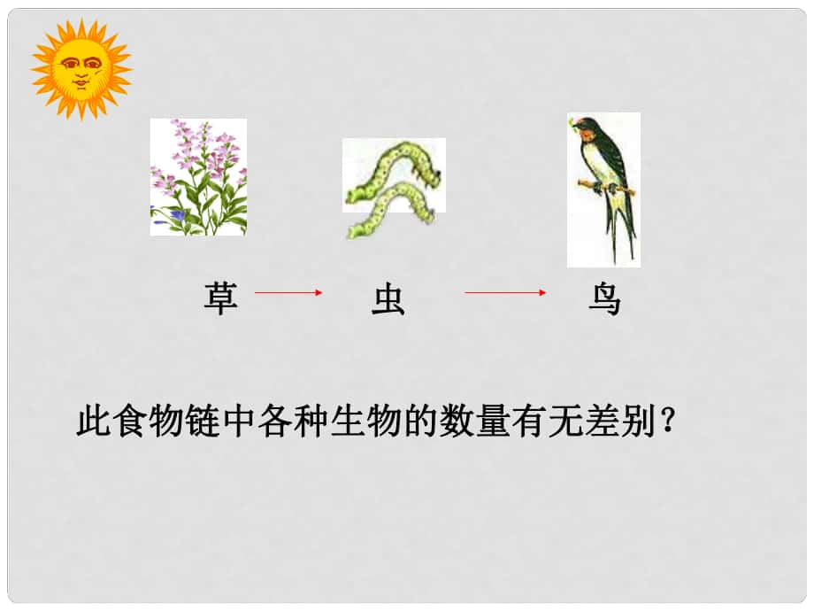 吉林省長市七年級生物上冊 第一單元 第二章 第三節(jié)《生物圈是最大的生態(tài)系統(tǒng)》參考課件2 （新版）新人教版_第1頁