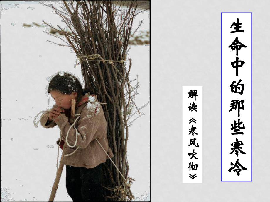 高中語(yǔ)文：現(xiàn)代散文選讀《寒風(fēng)吹徹》課件 蘇教版選修_第1頁(yè)