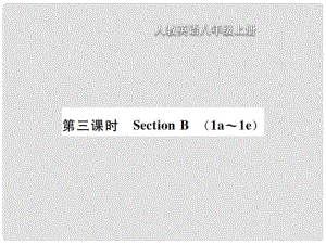 八年級英語上冊 Unit 7 Will people have robots（第3課時(shí)）Section B習(xí)題課件 （新版）人教新目標(biāo)版