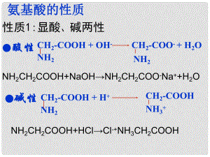 高中化学：第四章生命中的基础有机化学物质课件(共7套)人教版选修532 酶 核酸