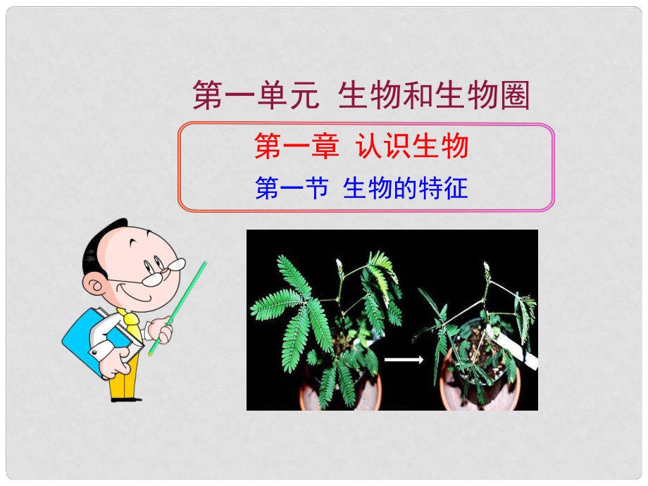 內(nèi)蒙古鄂爾多斯市七年級生物上冊 1.1.1生物的特征課件 （新版）新人教版_第1頁