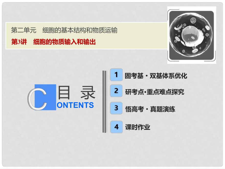 高考生物一輪復(fù)習(xí) 第二單元 細(xì)胞的基本結(jié)構(gòu)和物質(zhì)運(yùn)輸 第3講 細(xì)胞的物質(zhì)輸入和輸出課件 新人教版_第1頁