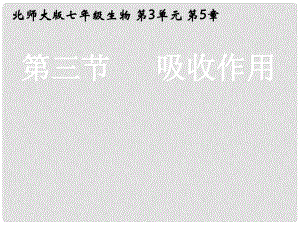 湖北省漢川實(shí)驗(yàn)中學(xué)七年級(jí)生物上冊 吸收作用課件 人教新課標(biāo)版