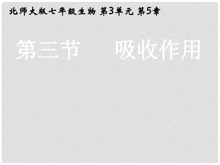 湖北省漢川實(shí)驗(yàn)中學(xué)七年級(jí)生物上冊 吸收作用課件 人教新課標(biāo)版_第1頁