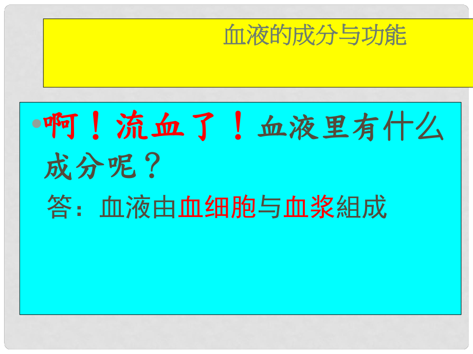 湖北省武汉市为明实验学校七年级生物 《第二节 血流的管道—血管》课件_第1页