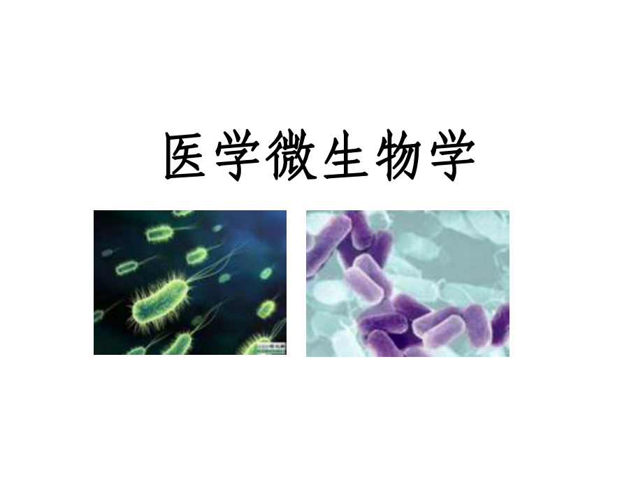 7微生物學(xué)緒論和細菌生物學(xué)性狀基礎(chǔ)醫(yī)學(xué)概論_第1頁