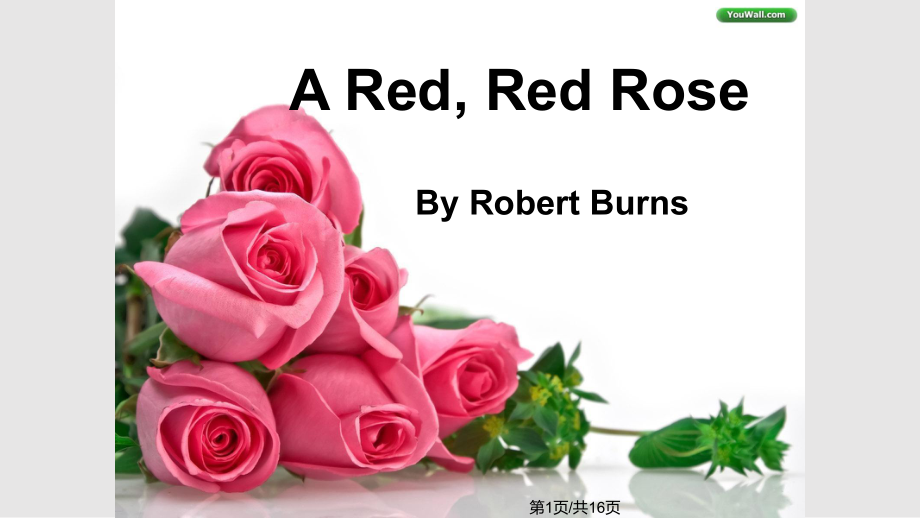 A red red rose 賞析PPT課件_第1頁