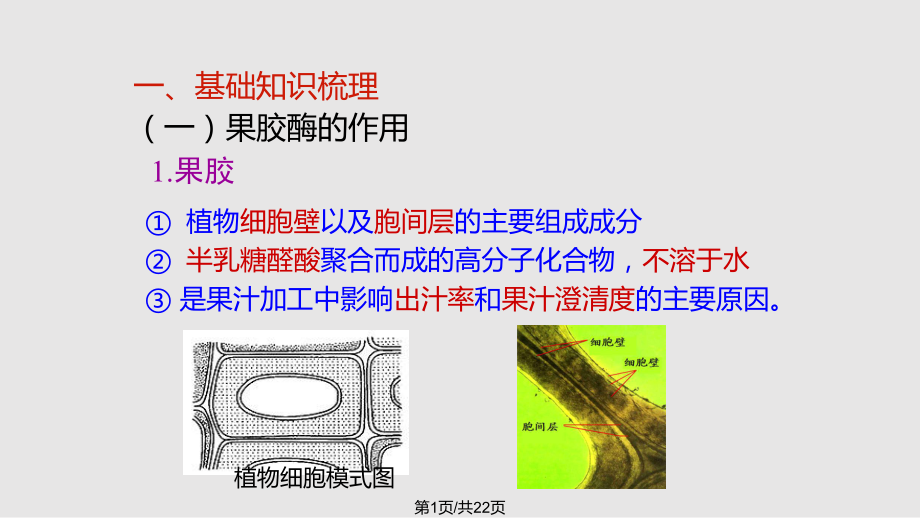 《果膠酶在果汁生產(chǎn)中的作用》PPT課件_第1頁