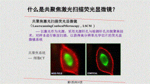 共聚焦激光掃描熒光顯微鏡 簡(jiǎn)介以及原理PPT課件