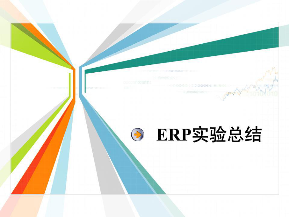 《ERP实验总结》PPT课件.ppt_第1页