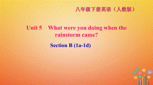 八年級英語下冊 Unit 5 What were you doing when the rainstorm came Section B(1a-1d)習題 （新版）人教新目標版