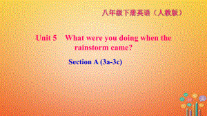 八年級(jí)英語(yǔ)下冊(cè) Unit 5 What were you doing when the rainstorm came Section A(3a-3c)習(xí)題 （新版）人教新目標(biāo)版