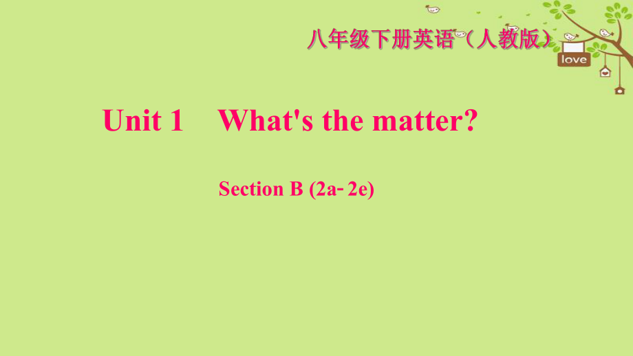 八年級英語下冊 Unit 1 What's the matter Section B(2a-2e)習(xí)題 （新版）人教新目標版_第1頁