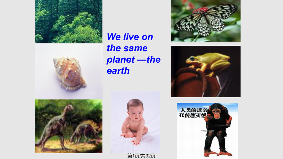 how life began on the earth 公開課PPT課件_第1頁