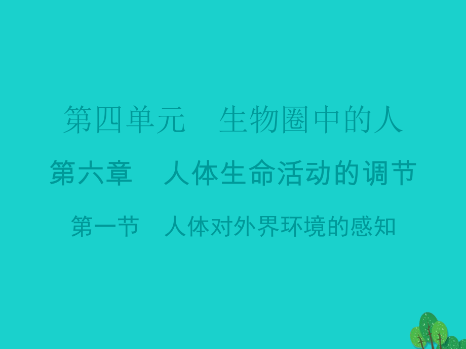 廣東省20152016七年級(jí)生物下冊 第6章 第一節(jié) 人體對外界環(huán)境的感知導(dǎo)練課件 （新版）新人教版_第1頁