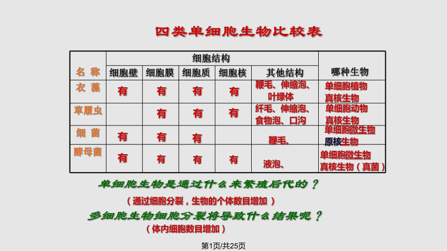 动物组织与植物组织PPT课件_第1页