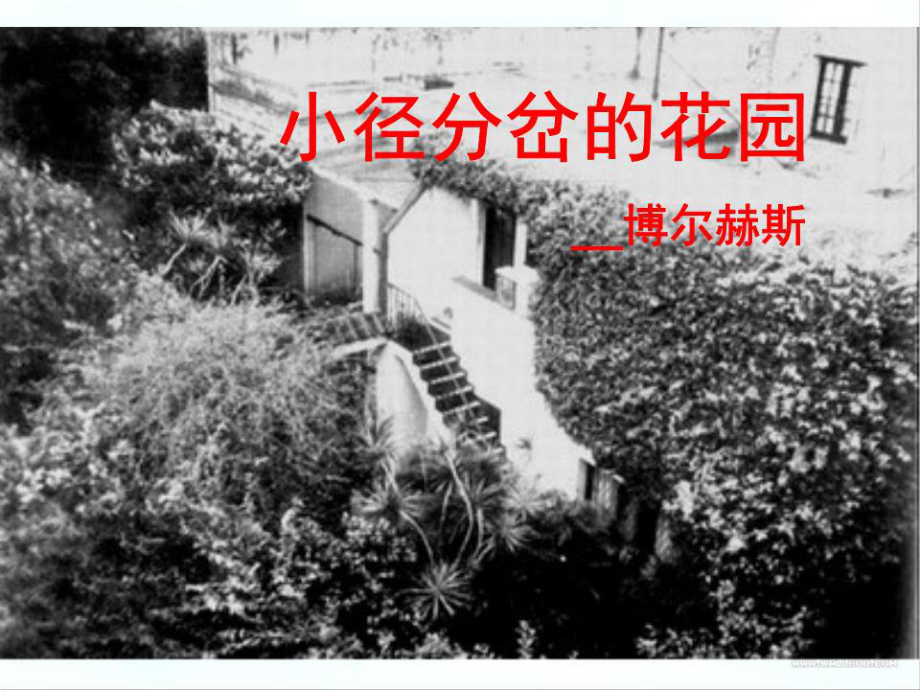 《小徑分岔的花園》PPT課件.ppt_第1頁