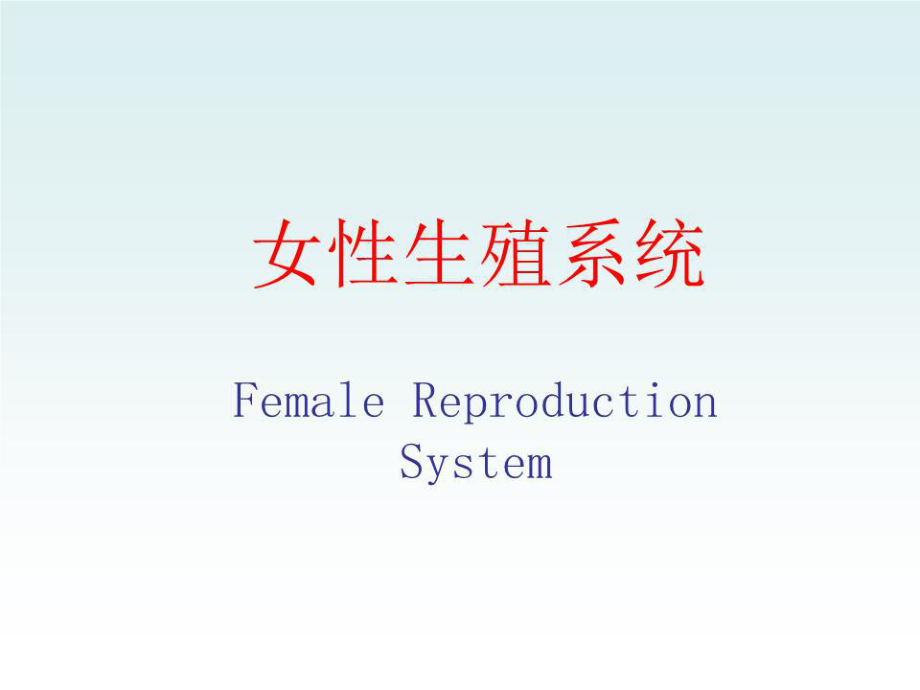 《女性生殖系統(tǒng)》PPT課件.ppt_第1頁