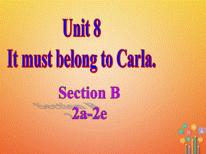 九年级英语全册 Unit 8 It must belong to Carla4 （新版）人教新目标版