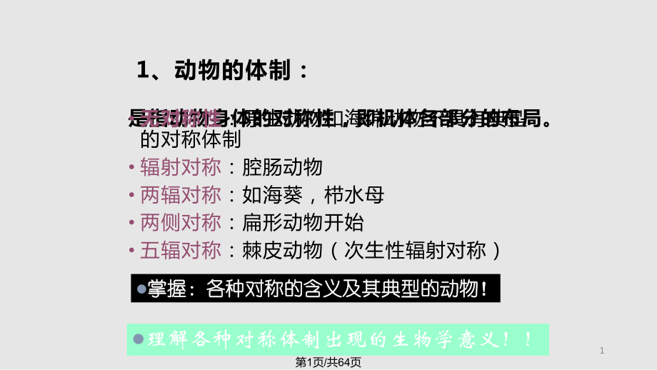 动物机体的结构和功能PPT课件_第1页