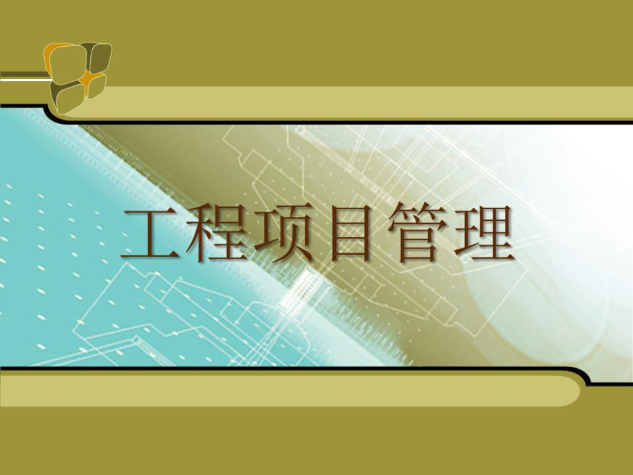 《工程項目風(fēng)險》PPT課件.ppt_第1頁