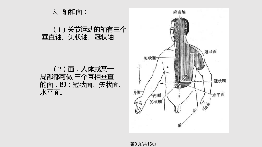 矢状轴运动动作举例图片