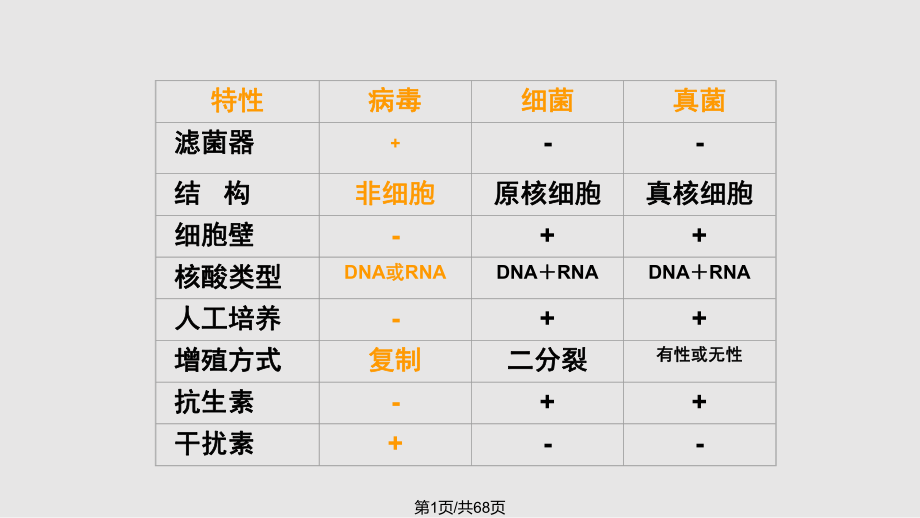 是一类非细胞型微生物PPT课件_第1页