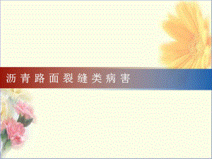 《瀝青路面裂縫》PPT課件.ppt