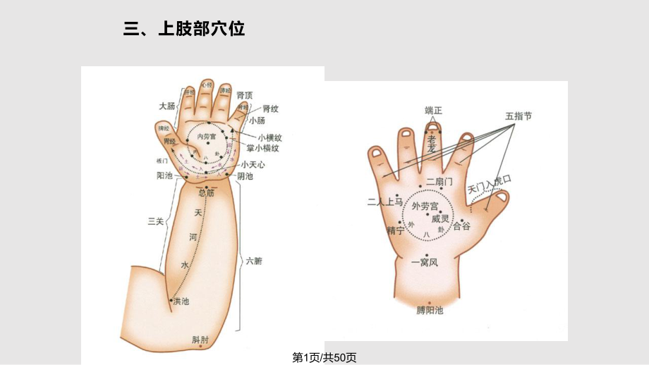 推拿特定穴之上下肢部穴位PPT課件_第1頁