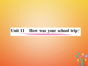 七年級英語下冊 Unit 11 How was your school trip（第1課時）Section A（1a-2d）習題 （新版）人教新目標版