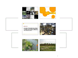 《景觀綠化工程》PPT課件.ppt