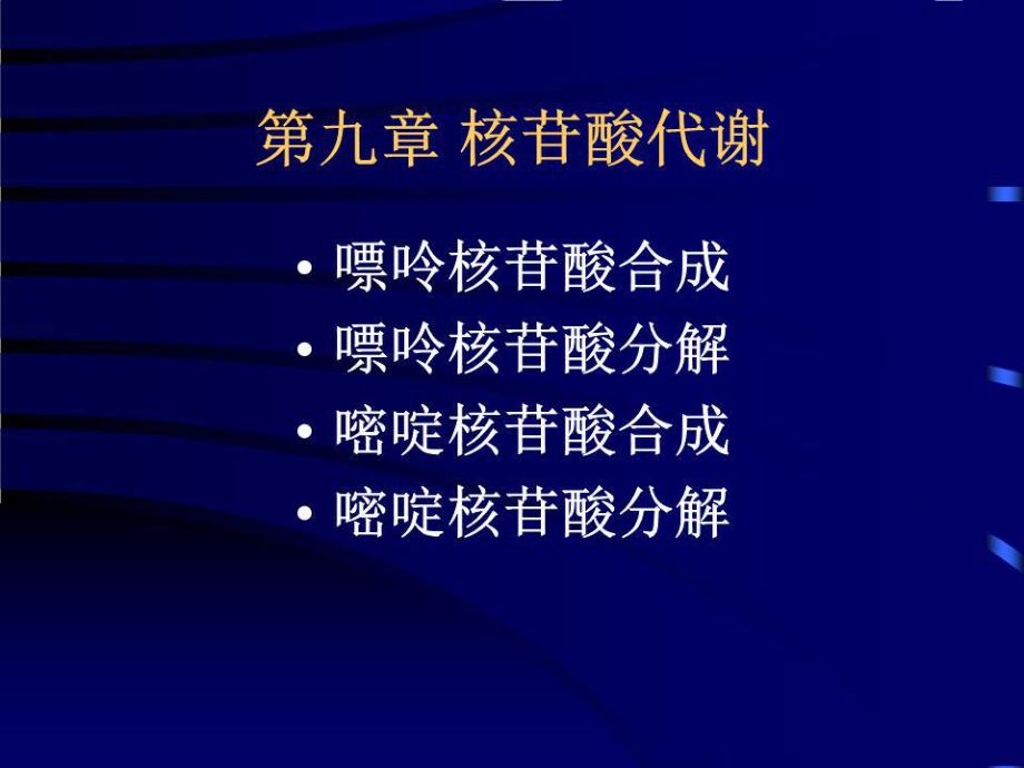 《核苷酸代謝 》PPT課件.ppt_第1頁