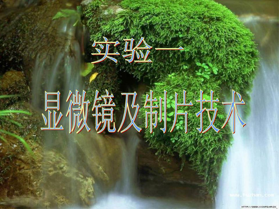 《目的与要求》PPT课件.ppt_第1页