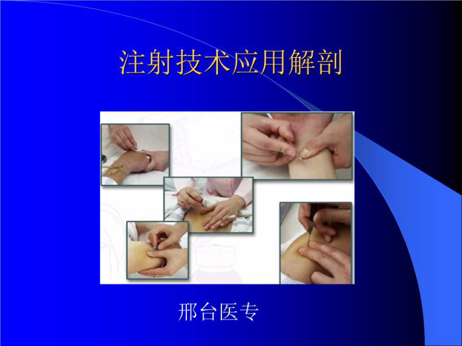 《解剖护理用》PPT课件.ppt_第1页