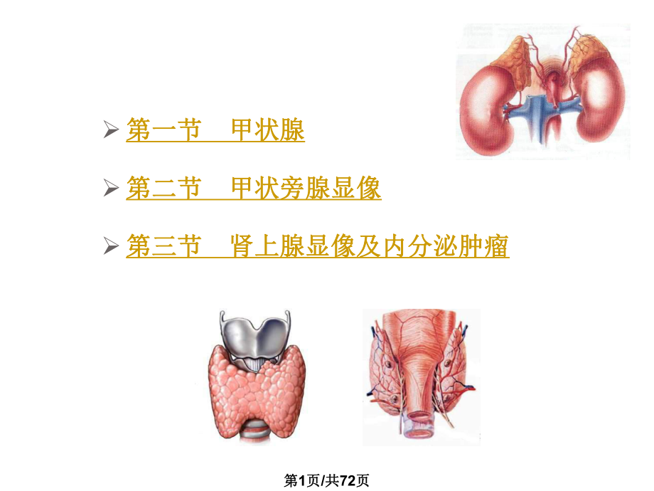 核醫(yī)學(xué) 內(nèi)分泌系統(tǒng)PPT課件_第1頁