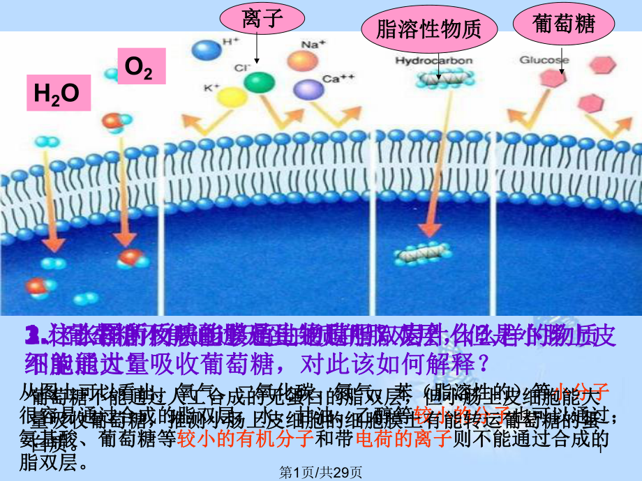 湖南省醴陵二中高中生物 物質(zhì)跨膜運(yùn)輸?shù)姆绞?新人教必修PPT課件_第1頁(yè)