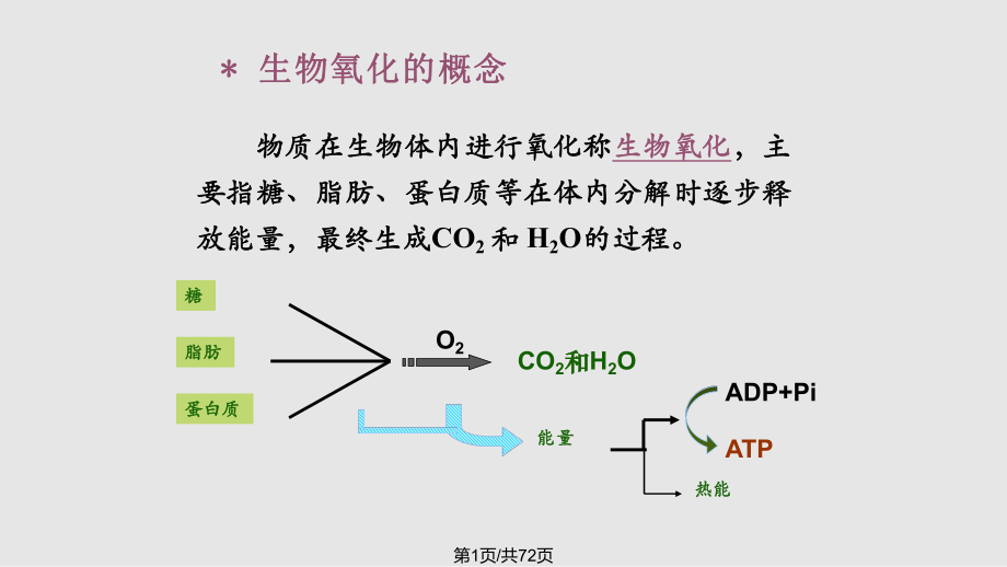 沈陽藥科大學生物化學—— 生物氧化PPT課件_第1頁