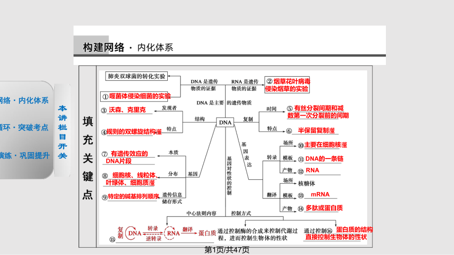 步步高生物二輪專題復(fù)習(xí)與增分策略專題四 遺傳的分子基礎(chǔ)PPT課件_第1頁