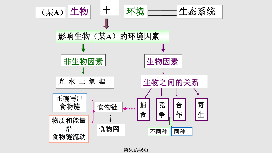 生态系统思维导图七上图片