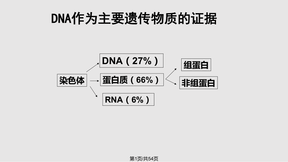 物质DNA和RNA的结构与功能PPT课件_第1页