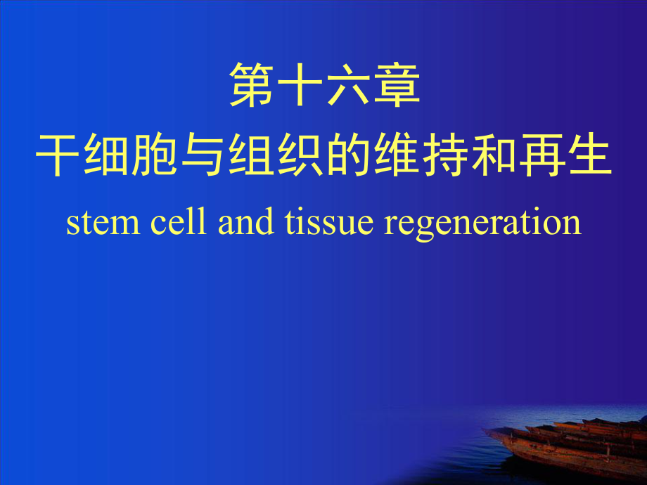 细胞生物学：10-2干细胞与组织维持和再生64h_第1页