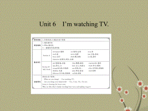 《Unit6I'mwatchIngTV》课件1人教新目标版