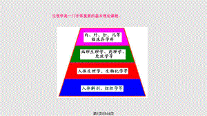 生理學緒論PPT課件