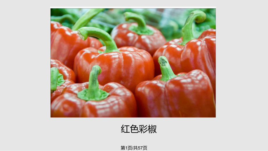 特种蔬菜彩色辣椒生产技术PPT课件_第1页